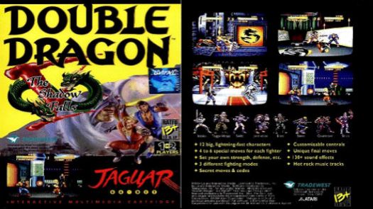 Double Dragon V - The Shadow Falls ROM