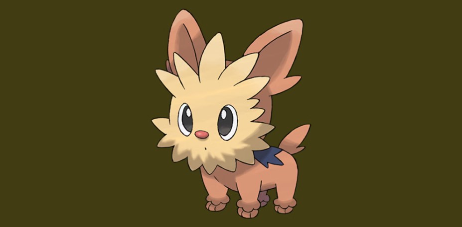 lillipup
