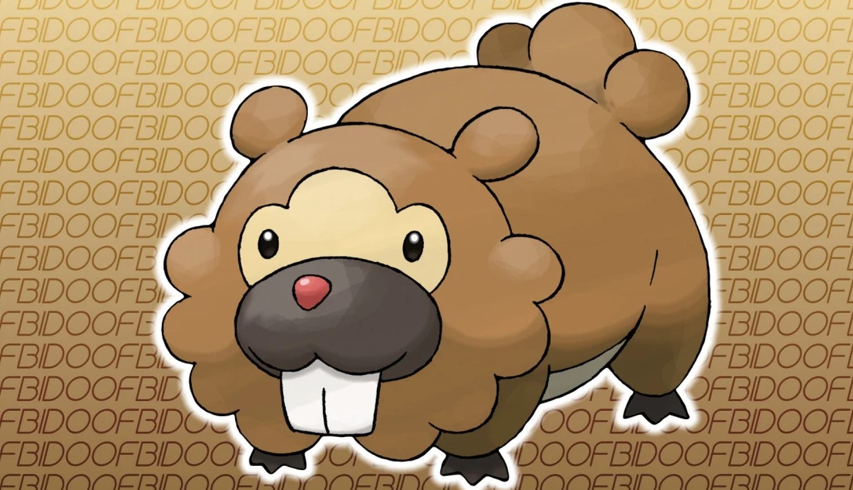 bidoof