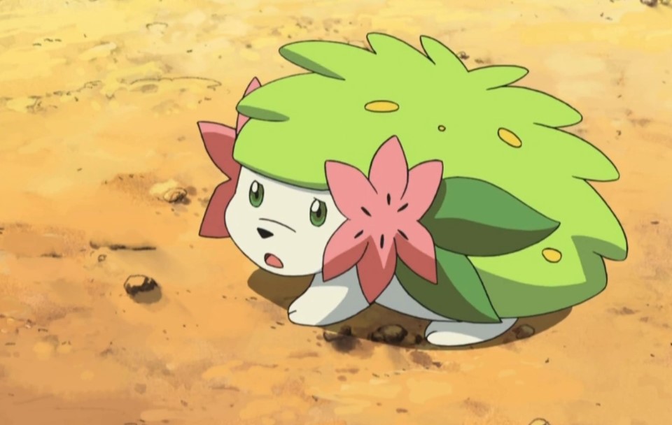 shaymin