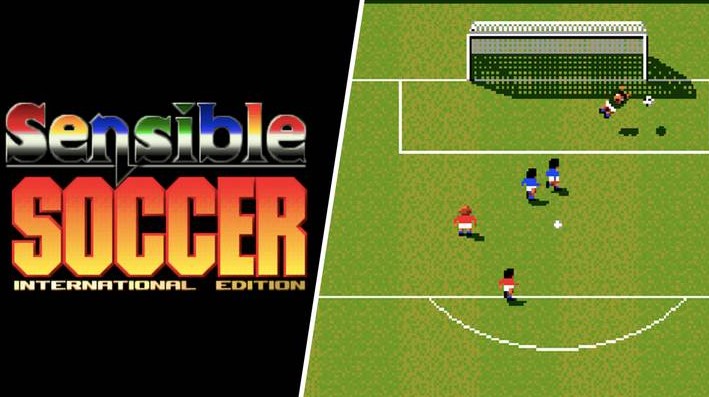 sensible soccer