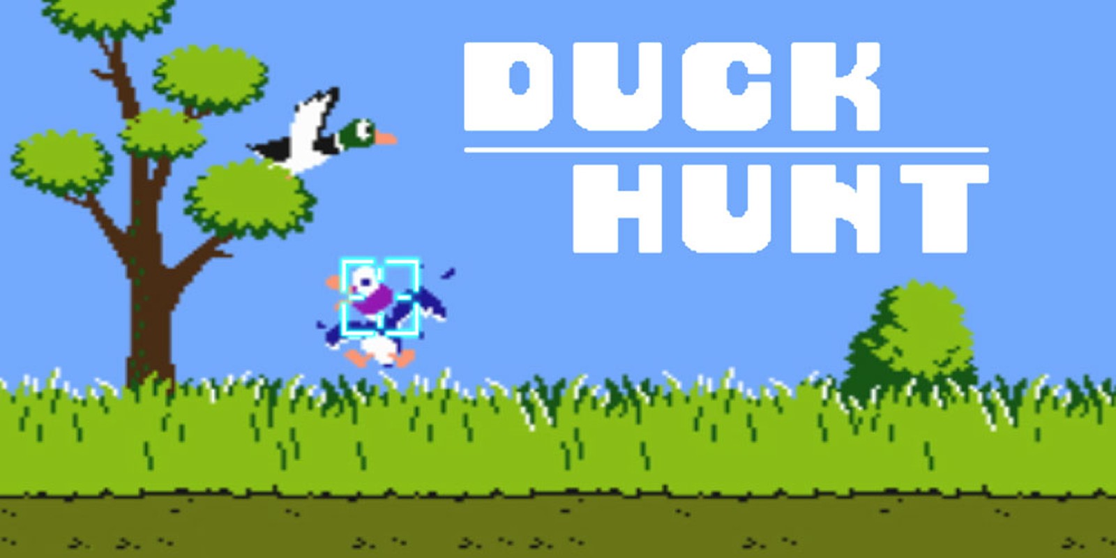 duck hunt