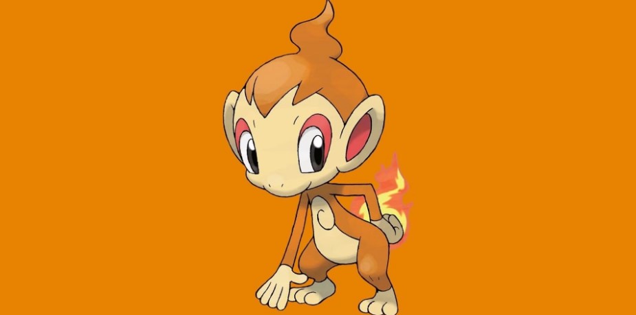 chimchar