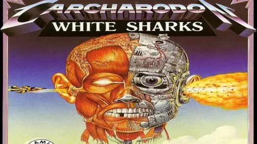 Carcharodon - White Sharks