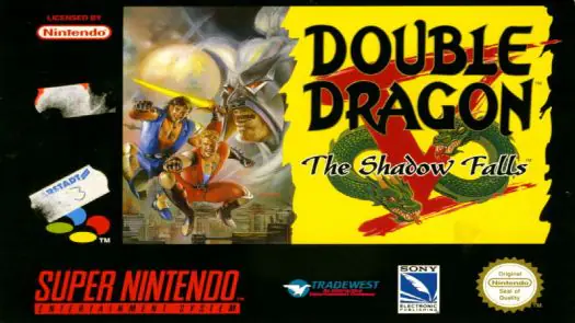 Double Dragon V - The Shadow Falls (EU)