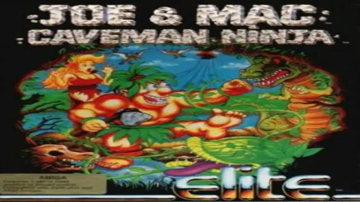 Joe & Mac - Caveman Ninja_Disk2