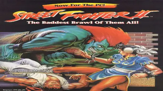 Street Fighter II - The World Warrior_Disk2