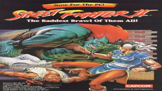 Street Fighter II - The World Warrior_Disk3