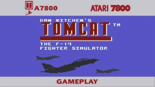 Tomcat - The F-14 Fighter Simulator